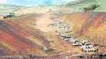 Mining sector can churn out 25 million jobs in country: HZL CEO Sunil Duggal