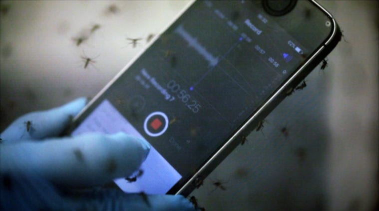 Mosquito monitoring platform Abuzz, Stanford University, dengue, chikungunya, zika, global mosquito map, Manu Prakash, mosquito surveillance, mosquito species, mosquito data, mosquito sound library
