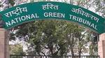 Remove debris from Mutha river within a month: NGT to Datar Farms