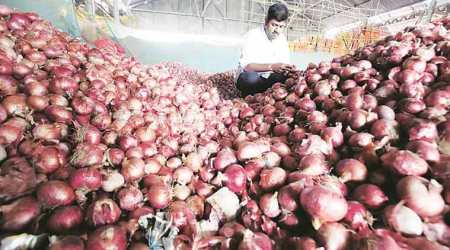 From Plate to Plough: Onion tears and how to wipe them