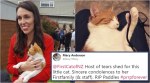 New Zealand’s ‘First Cat’ Paddle’s sudden DEATH sends Twitterati in a shock
