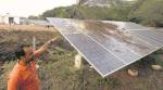 Solar farm project: After sitting on Raj Bhavan request for 5 months, PMC gives nod to fell trees