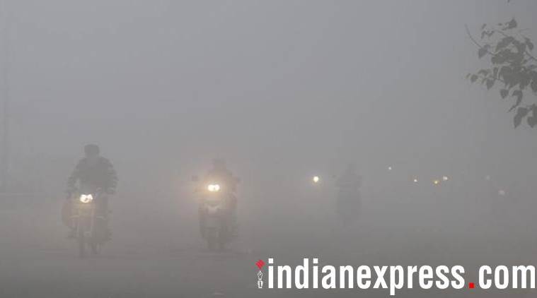 Dense fog, intense cold slow down life in Punjab
