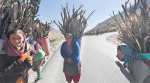 Himachal Pradesh polls: A village that fears Rohtang tunnel will only cut them off