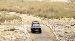 Similipal National Park reopens to visitors