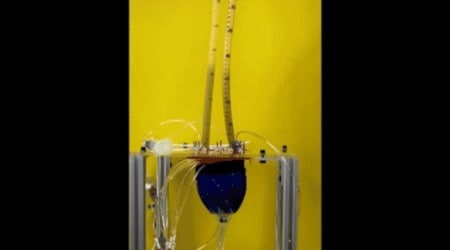 Heart failure, blood clotting in children can be controlled by soft robotic system