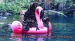 This SPOOKY ‘Swim Reaper’ scares WATER lovers to spread safety in New Zealand