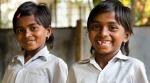 Goa ranks top, Bihar at bottom of Gender Vulnerability Index