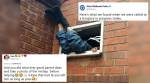 Freed to be jailed? Burglar got stuck for 7 hours, only to be rescued (arrested) by cops!