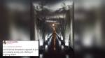 Twitterati get 'creeping anxiety' looking at the White House decked up for Christmas