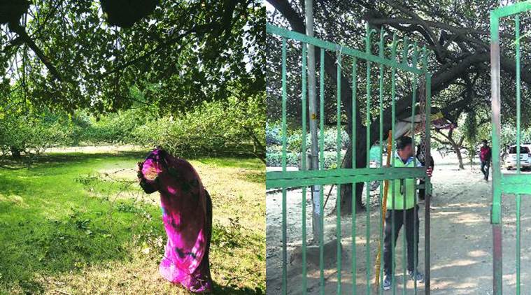 Shalimar Bagh gangrape, Shalimar Bagh gangrape incident, delhi gangrape, delhi rape, delhi news, indian express, indian express news