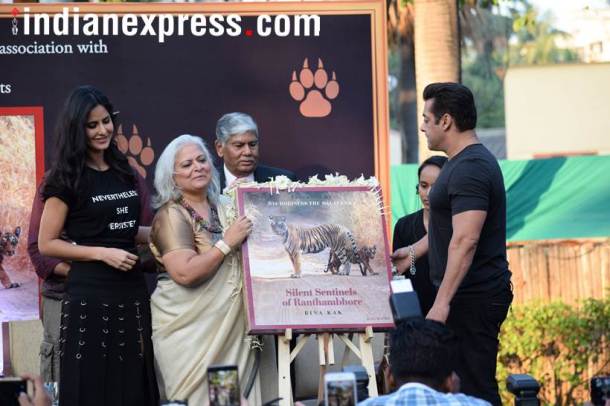 salman khan katrina kaif