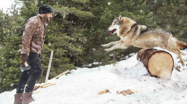 new still of tiger zinda hai starring salman khan