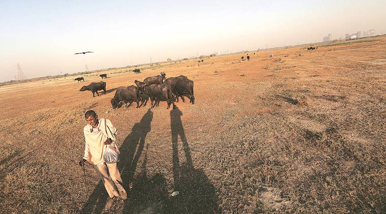 NGT also rapped DDA for not excising its duty