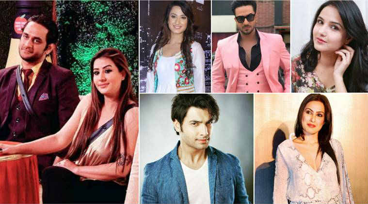 Bigg Boss 11 finalists TV stars