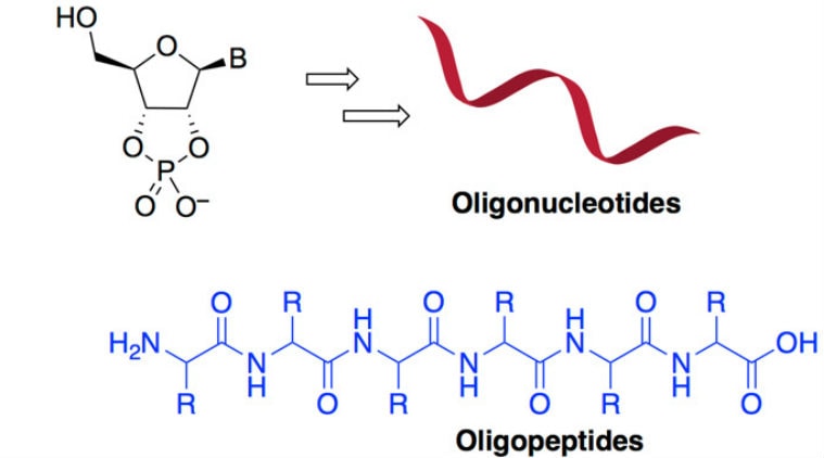 Early life, chemical reactions, The Scripps Research Institute, citric acid cycle, biological molecules, fundamental reactions, aerobic organisms, amino acids