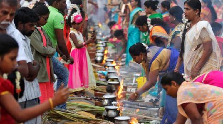 pongal 2018, pongal 2018 date, pongal festival india, pongal in tamil nadu, pongal date in 2018, pongal holidays 2018, pongal harvest festival, pongal festival date and time, know more about pongal festival, why we celebrate pongal, Indian express, Indian express news
