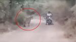 VIDEO: Bikers find themselves caught between TWO tigers; watch what happens next
