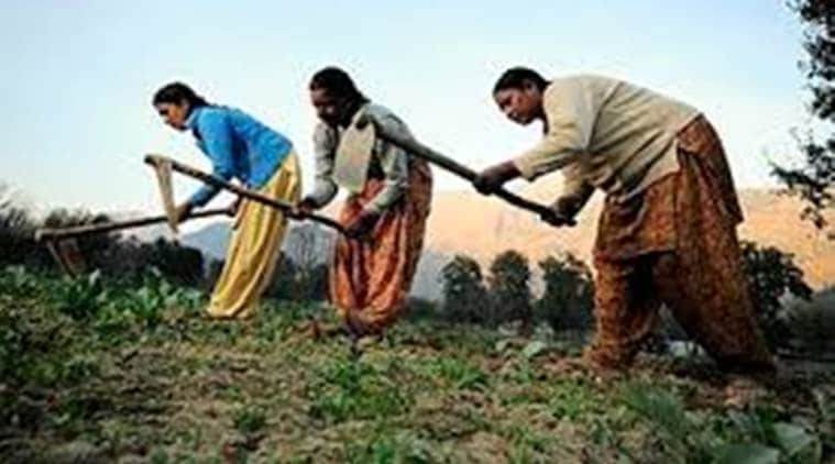 Ignorance about basic rights, widespread indebtedness among Punjab women farm workers, says study