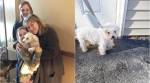 This PUPPY was snatched by an EAGLE but a Facebook post helped it get back home