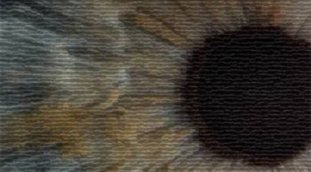 AI may quickly diagnose eye diseases, pneumonia: Study