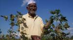 Farmers in Maharashtra told to take precautions against hailstorm likely between Feb 10 and 13