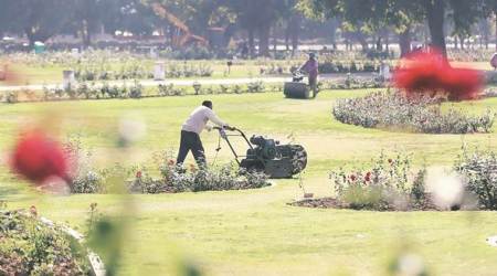 Transgenders to set up special stall at Rose Festival