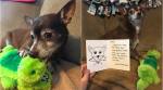 This adorable dog's favourite paw toy was discontinued; Tweeple got together to find one for it