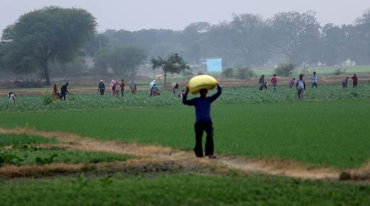 Hand over land to Dalits in six months, Gujarat Collectors told 