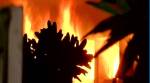 Delhi: 35-year-old dies in blaze at Karol Bagh factory