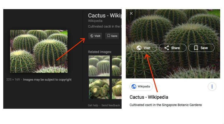 Image result for google removes view image button