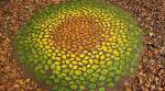 Artist creates colourful patterns using dried leaves, twigs, pebbles and shells