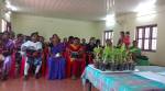 In Kerala, village on path to become country's first carbon-neutral panchayat