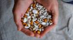 Diet diary: The pitfalls of lectin