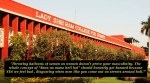 Holi hooliganism: LSR students' Instagram posts on being hit by semen filled balloons go viral