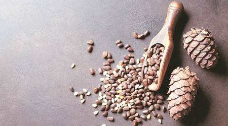 Diet Diary: Pine nuts — detoxifying body from cell damage since Palaeolithic age