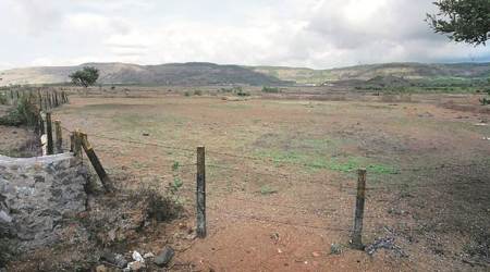 PMC struggles to find open space for weekly vegetable market