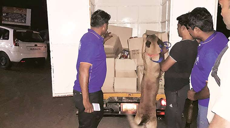 red sanders, red sanders Smuggling, Andhra Pradesh, red sanders Smuggling Andhra Pradesh, Andhra Pradesh police, indian express