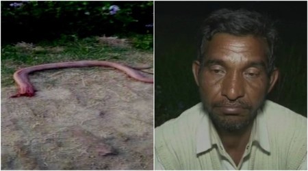 VIDEO: UP man BITES OFF snake's head after being bitten by it