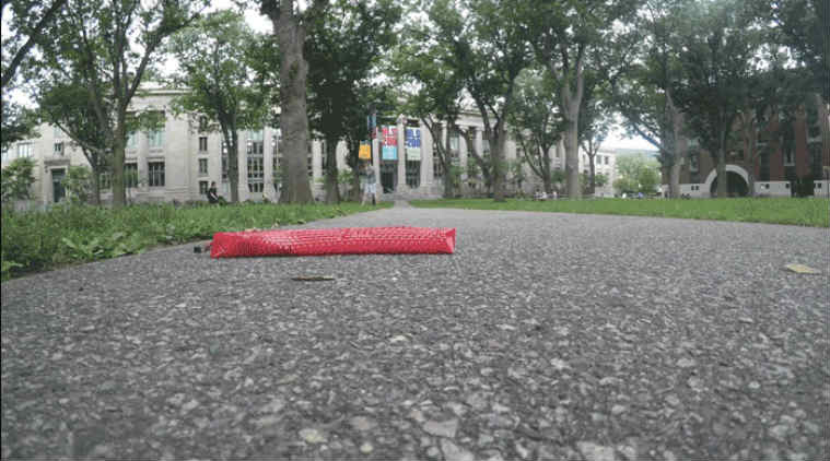 Robotic snake, kirigami, Harvard University, soft robots, Japanese paper cutting, locomotive properties, tube-like elastomer, untethered robot, snake scales, soft crawlers