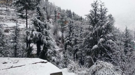 Fresh snowfall in Jammu and Kashmir: Excited Netizens share mesmerising pictures