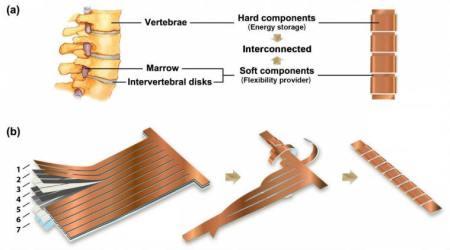 Lithium-ion battery shaped like spine could power flexible electronics