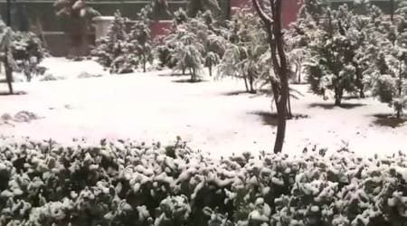 Weather LIVE UPDATES: Rain, hailstorm likely in Delhi today, fresh snowfall in Kashmir, Shimla