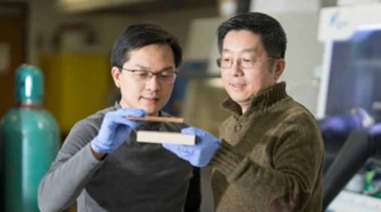 Wood strong as steel, steel strength, University of Maryland, titanium alloys, strong wood, carbon fibre, mechanical properties, projectiles, moulds