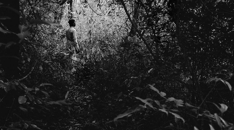 FTII filmmaker Payal Kapadia's documentary 'And What is the Summer Saying'