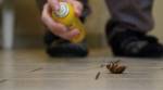 This man wanted to get rid of cockroaches in his house; blows up his house instead