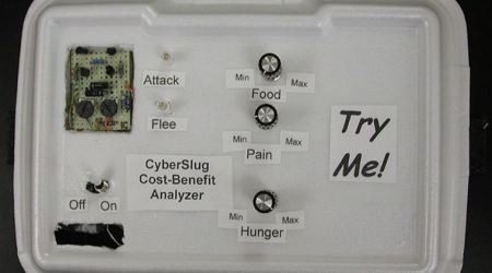 Self-aware AI ‘Cyberslug’ mimics ocean predators: Study