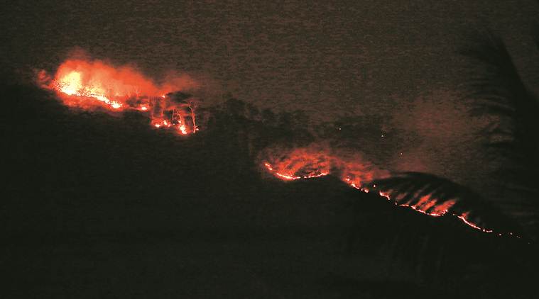 Sanjay Gandhi National Park fire