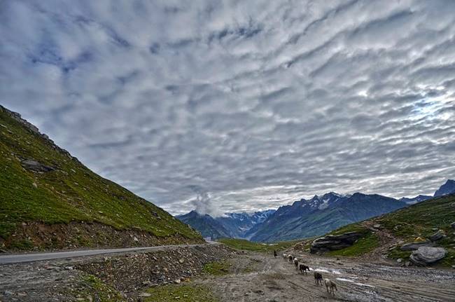 Top 10 Destinations in India, Top 10 Destinations in India 2018, Top 10 Travellers’ Choice Destinations 2018 India, TripAdvisor Top 10 Destinations in India, New Delhi, Goa, Rajasthan, Himachal Pradesh, Maharashtra, Rajasthan, Uttar Pradesh, Rajasthan, Karnataka, Kerala, indian express, trending news