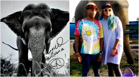 Pharrell Williams visits Wildlife SOS Elephant centre in India to promote conservation